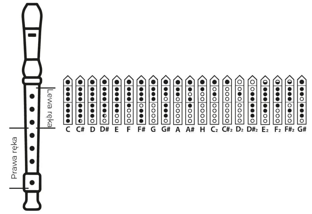 Piosenki na flet – Co wybrać dla początkujących i zaawansowanych?