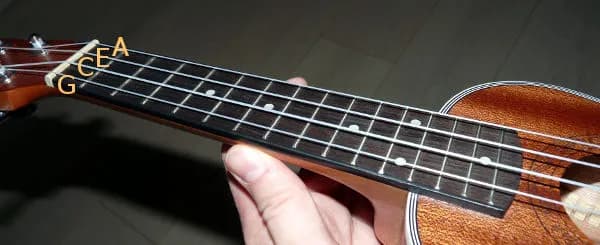 Jakie struny do ukulele wybrać: kompletny poradnik dla początkujących