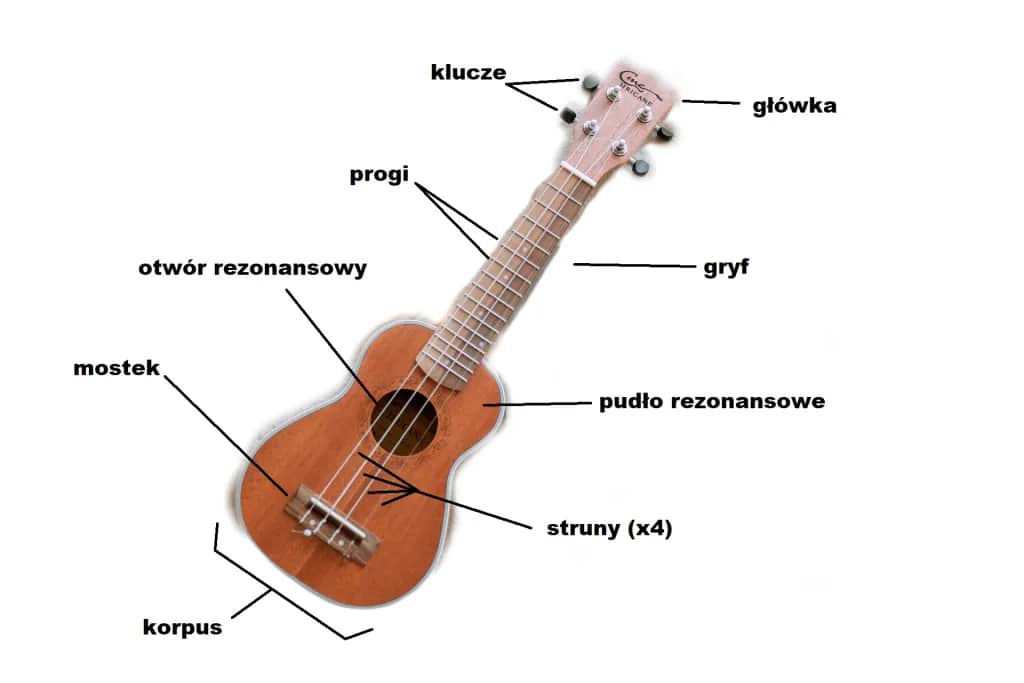 Jak wygląda ukulele? Poznaj budowę i rodzaje tego instrumentu