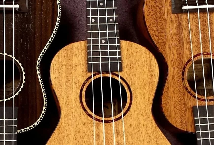 Czy trudno nauczyć się grać na ukulele? Oto prawda o nauce