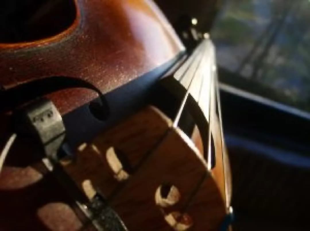 Wszystko co musisz wiedzieć o strunach wiolonczeli i ich właściwościach