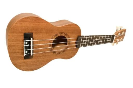 Ile kosztuje ukulele? Ceny od najtańszych do najdroższych modeli