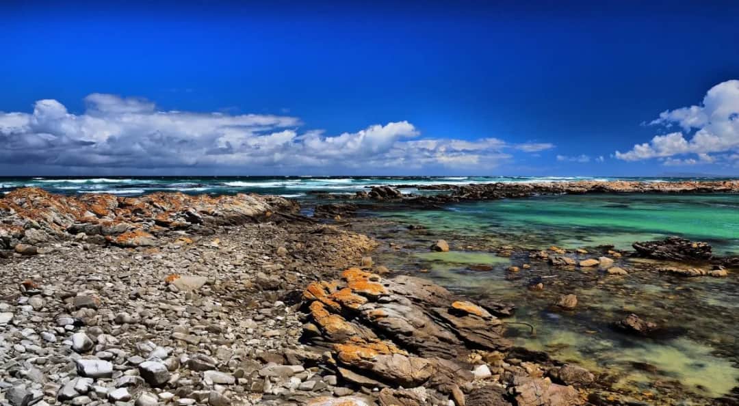 Muzycy z Południowej Afryki, którzy zrewolucjonizowali światową scenę